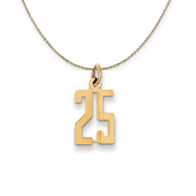 14k Yellow Gold, Alumni Small Elongated Number 25 Necklace - 24 Inch
